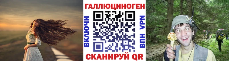 дарнет шоп Железногорск-Илимский Псилоцибиновые грибы ЛСД